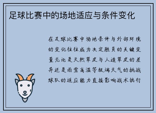 足球比赛中的场地适应与条件变化